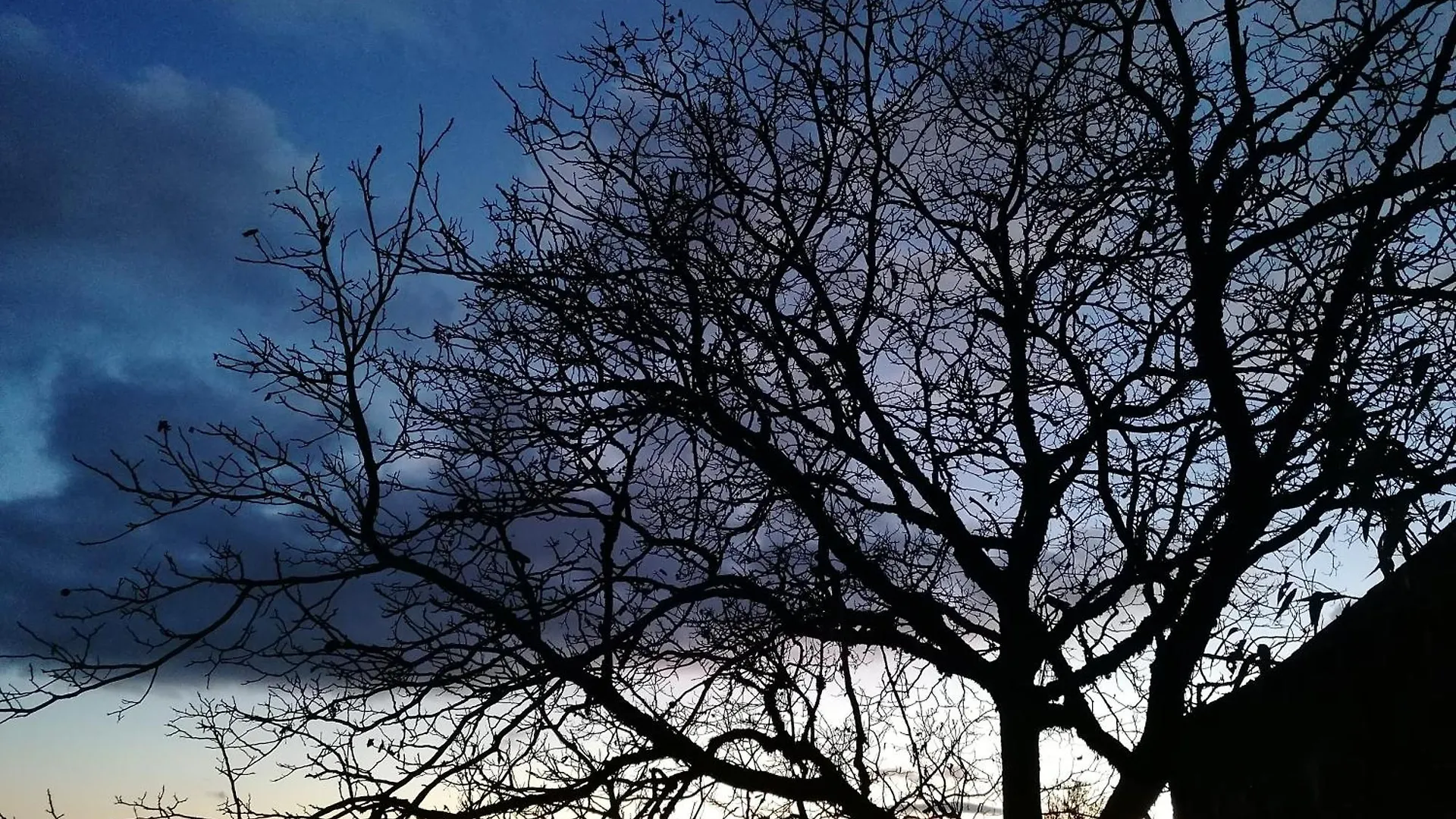 Gite Le Temps Serene Vabre-Tizac
